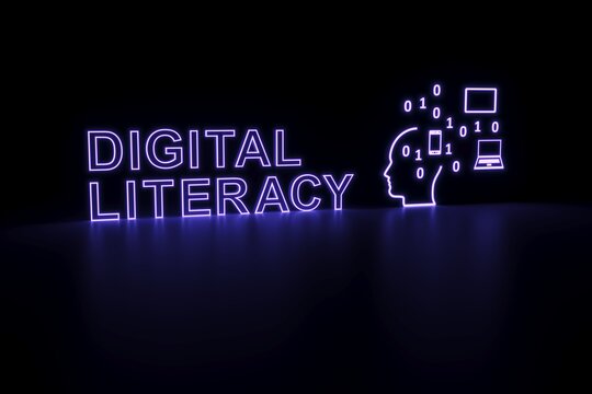 Digital Literacy and Essay Writing: Navigating the Age of Information