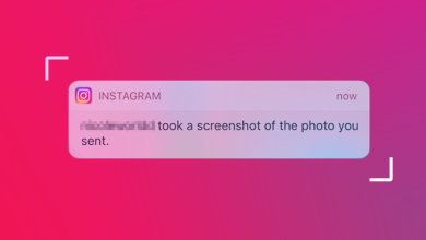 Instagram Notify Screenshot a Story