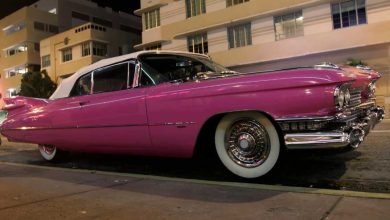 The Secret Life of Celebrity Car Collections Who Owns a Cadillac