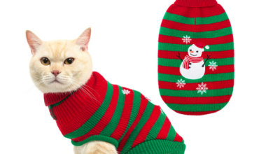 DIY Xmas Sweaters for Cats: Easy and Fun Craft Ideas