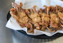 soft-shell-crabs