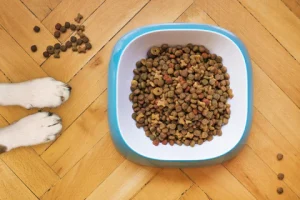 grain-free-dog-food