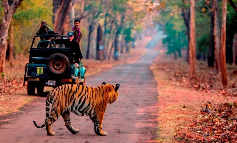 Ranthambore