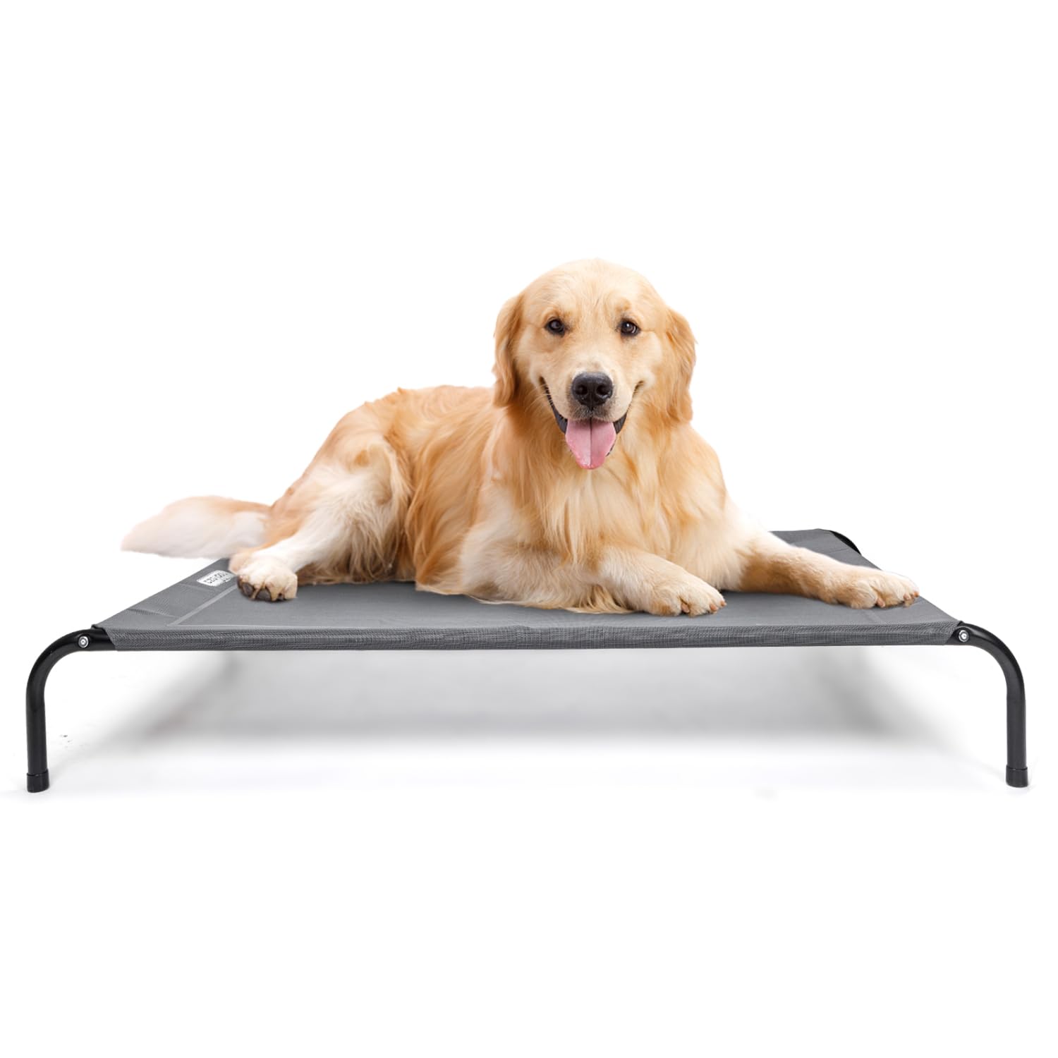 Pet Itz Dog Beds