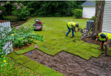 Why Are Sod Installations Better Than Seeding?