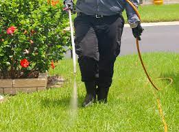 How to Find the Best Pest Control in Niskayuna, NY